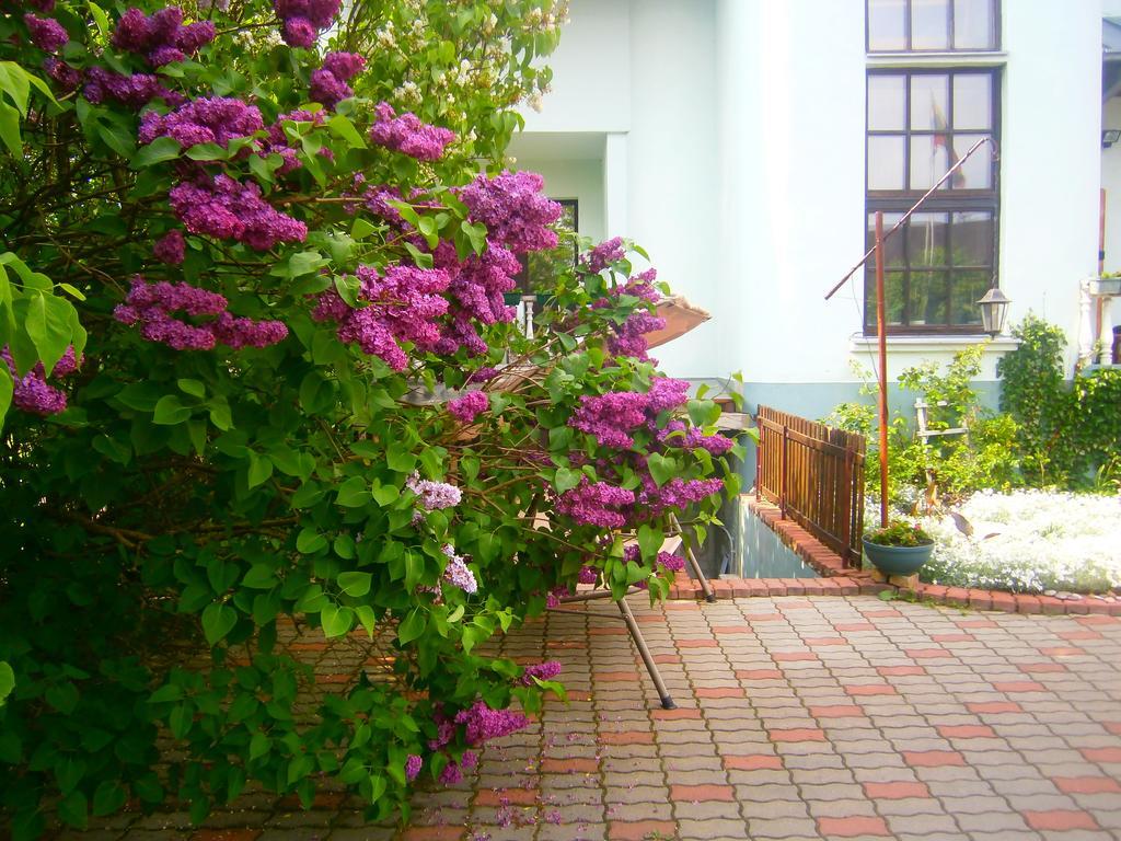 Nemunas Tour Residence Ringaudai Exterior photo